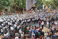 Imatge-de-WhatsApp-2025-08-24-a-les-21.41.46_086ebdc5